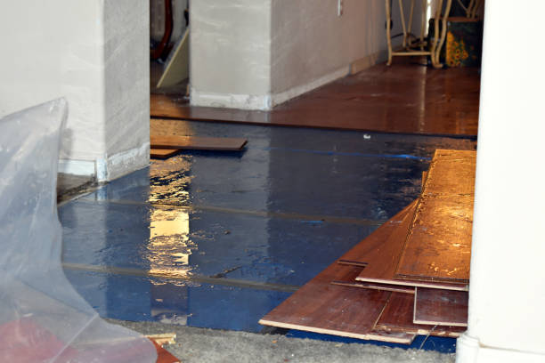 Professional Basement Flood Cleanup technician working in Hollandale, MS